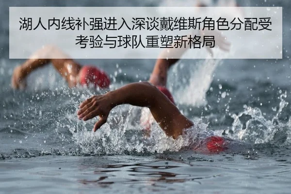 湖人内线补强进入深谈戴维斯角色分配受考验与球队重塑新格局