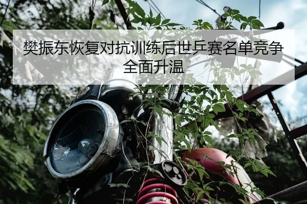 樊振东恢复对抗训练后世乒赛名单竞争全面升温